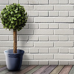 Walls